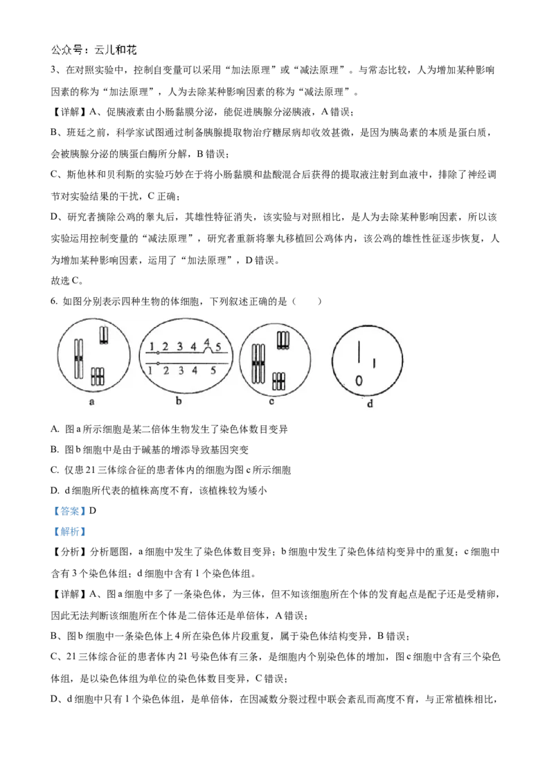 海南省海南中学2024-2025学年高二上学期11月期中考试生物Word版含解析_2024-2025高二（7-7月题库）_2024年11月试卷_1118海南省海南中学2024-2025学年高二上学期11月期中考试