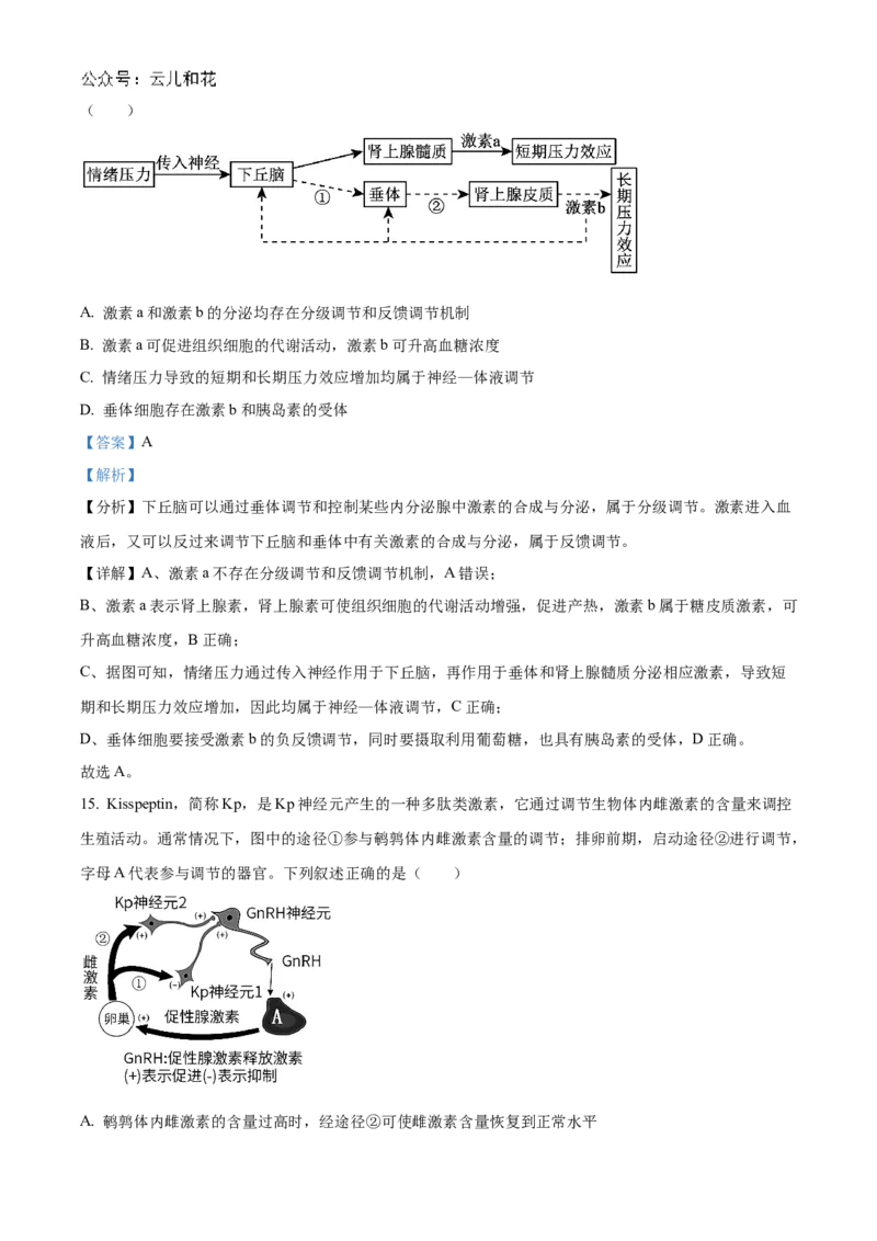 海南省海南中学2024-2025学年高二上学期11月期中考试生物Word版含解析_2024-2025高二（7-7月题库）_2024年11月试卷_1118海南省海南中学2024-2025学年高二上学期11月期中考试