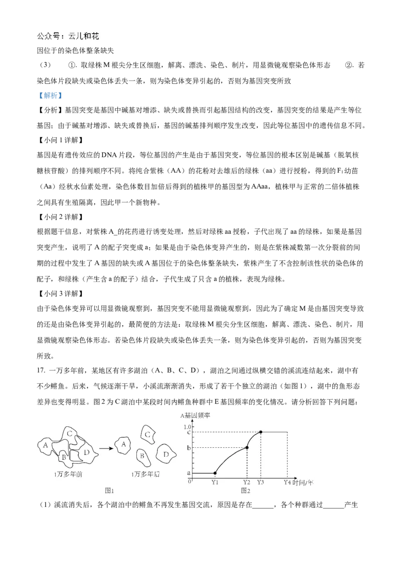 海南省海南中学2024-2025学年高二上学期11月期中考试生物Word版含解析_2024-2025高二（7-7月题库）_2024年11月试卷_1118海南省海南中学2024-2025学年高二上学期11月期中考试