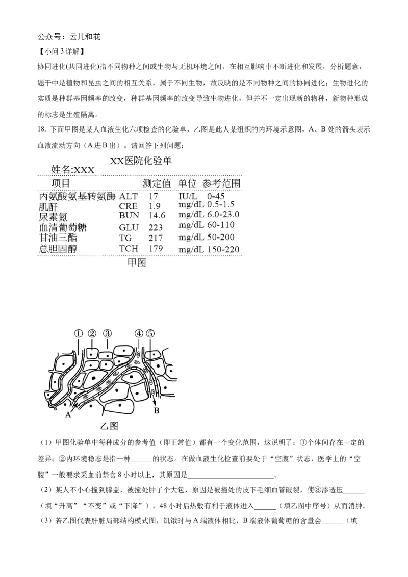 海南省海南中学2024-2025学年高二上学期11月期中考试生物Word版含解析_2024-2025高二（7-7月题库）_2024年11月试卷_1118海南省海南中学2024-2025学年高二上学期11月期中考试