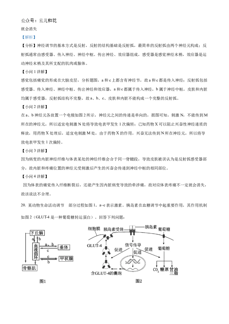 海南省海南中学2024-2025学年高二上学期11月期中考试生物Word版含解析_2024-2025高二（7-7月题库）_2024年11月试卷_1118海南省海南中学2024-2025学年高二上学期11月期中考试