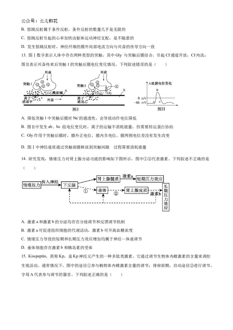 海南省海南中学2024-2025学年高二上学期11月期中考试生物Word版含解析_2024-2025高二（7-7月题库）_2024年11月试卷_1118海南省海南中学2024-2025学年高二上学期11月期中考试