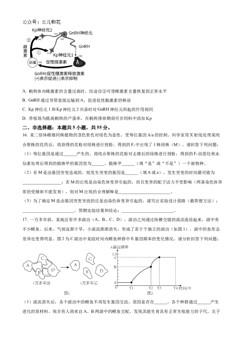 海南省海南中学2024-2025学年高二上学期11月期中考试生物Word版含解析_2024-2025高二（7-7月题库）_2024年11月试卷_1118海南省海南中学2024-2025学年高二上学期11月期中考试