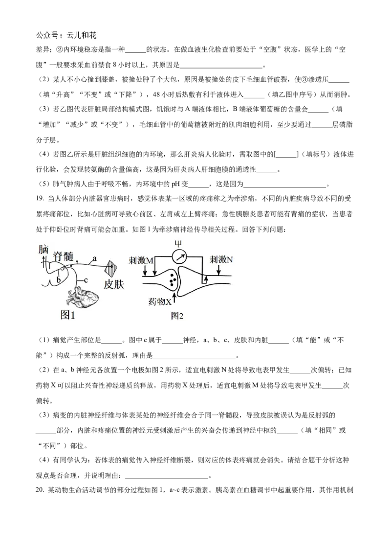 海南省海南中学2024-2025学年高二上学期11月期中考试生物Word版含解析_2024-2025高二（7-7月题库）_2024年11月试卷_1118海南省海南中学2024-2025学年高二上学期11月期中考试