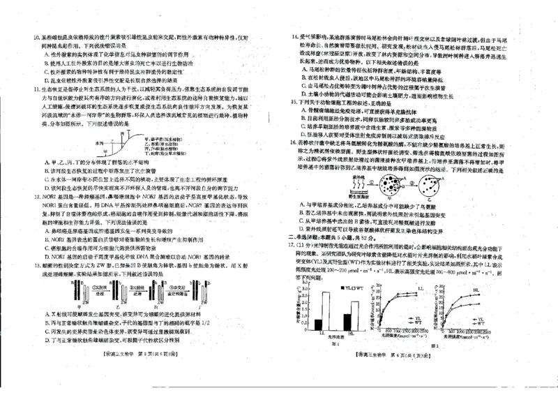 生物_2024年2月_01每日更新_28号_2024届甘肃省2月金太阳高三联考（347C）_甘肃省2024届2月金太阳高三联考（347C）生物