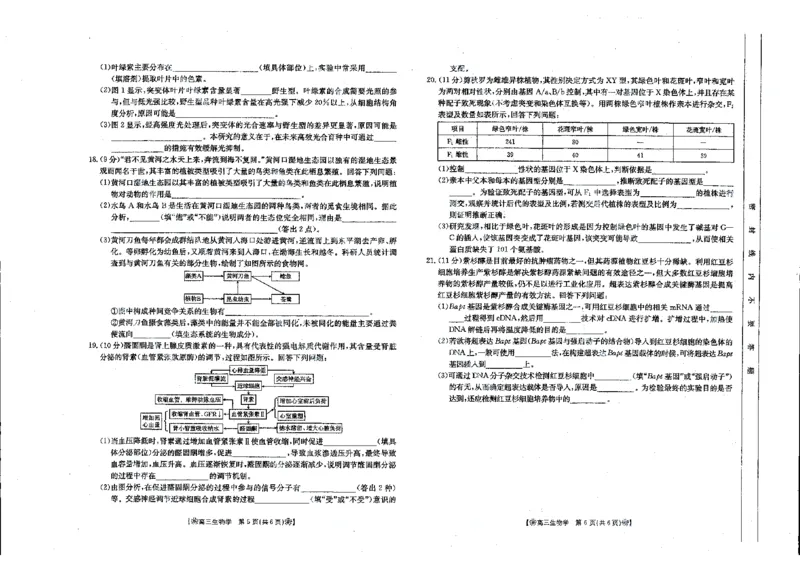生物_2024年2月_01每日更新_28号_2024届甘肃省2月金太阳高三联考（347C）_甘肃省2024届2月金太阳高三联考（347C）生物