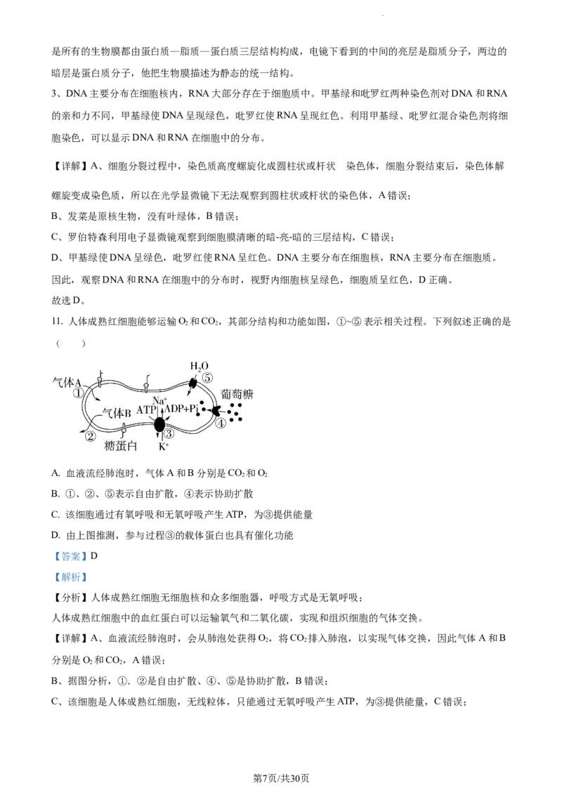 精品解析：四川省内江市六中2023-2024学年高三上学期入学考试生物试题（解析版）(1)_2023年11月_0211月合集_2024届四川省内江市第六中学高三上学期第一次月考