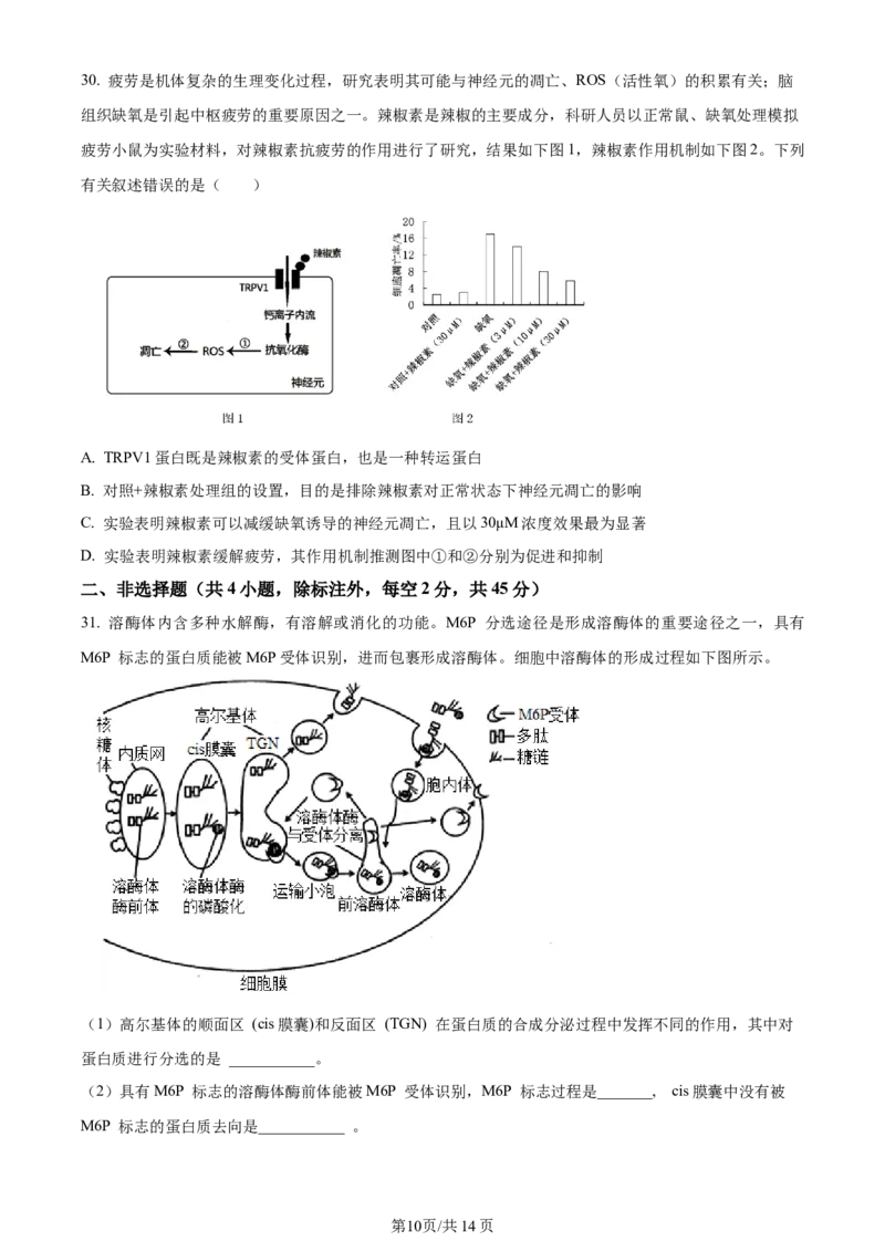 精品解析：河南省南阳市2023-2024学年高三上学期期中生物试题（原卷版）(1)_2023年11月_0211月合集_2024届河南省南阳市高三上学期期中考试_河南省南阳市2024届高三上学期期中考试生物