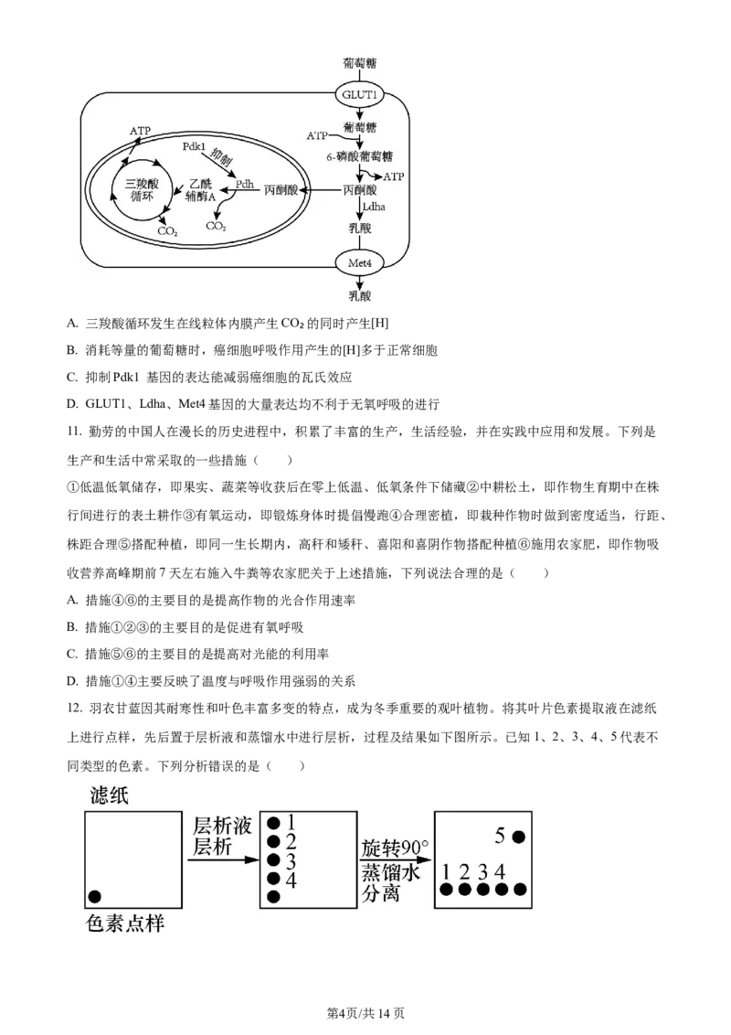 精品解析：河南省南阳市2023-2024学年高三上学期期中生物试题（原卷版）(1)_2023年11月_0211月合集_2024届河南省南阳市高三上学期期中考试_河南省南阳市2024届高三上学期期中考试生物