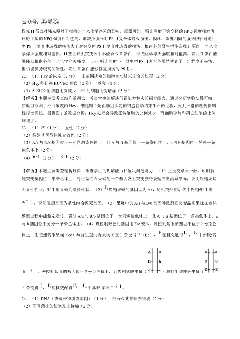 河南省2024-2025年金太阳高三年级联考（三）生物学试题（含解析）_2024-2025高三（6-6月题库）_2024年10月试卷_1030河南省2024-2025年金太阳高三年级联考（三）
