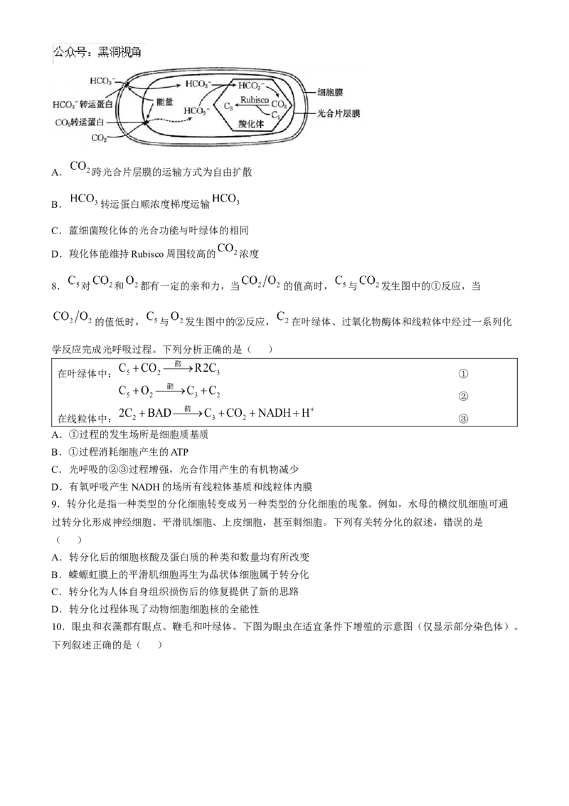 河南省2024-2025年金太阳高三年级联考（三）生物学试题（含解析）_2024-2025高三（6-6月题库）_2024年10月试卷_1030河南省2024-2025年金太阳高三年级联考（三）