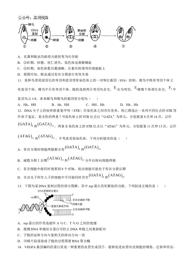 河南省2024-2025年金太阳高三年级联考（三）生物学试题（含解析）_2024-2025高三（6-6月题库）_2024年10月试卷_1030河南省2024-2025年金太阳高三年级联考（三）