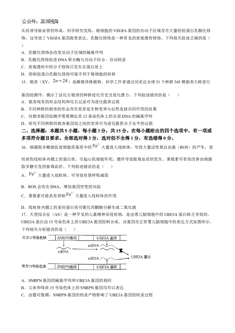 河南省2024-2025年金太阳高三年级联考（三）生物学试题（含解析）_2024-2025高三（6-6月题库）_2024年10月试卷_1030河南省2024-2025年金太阳高三年级联考（三）