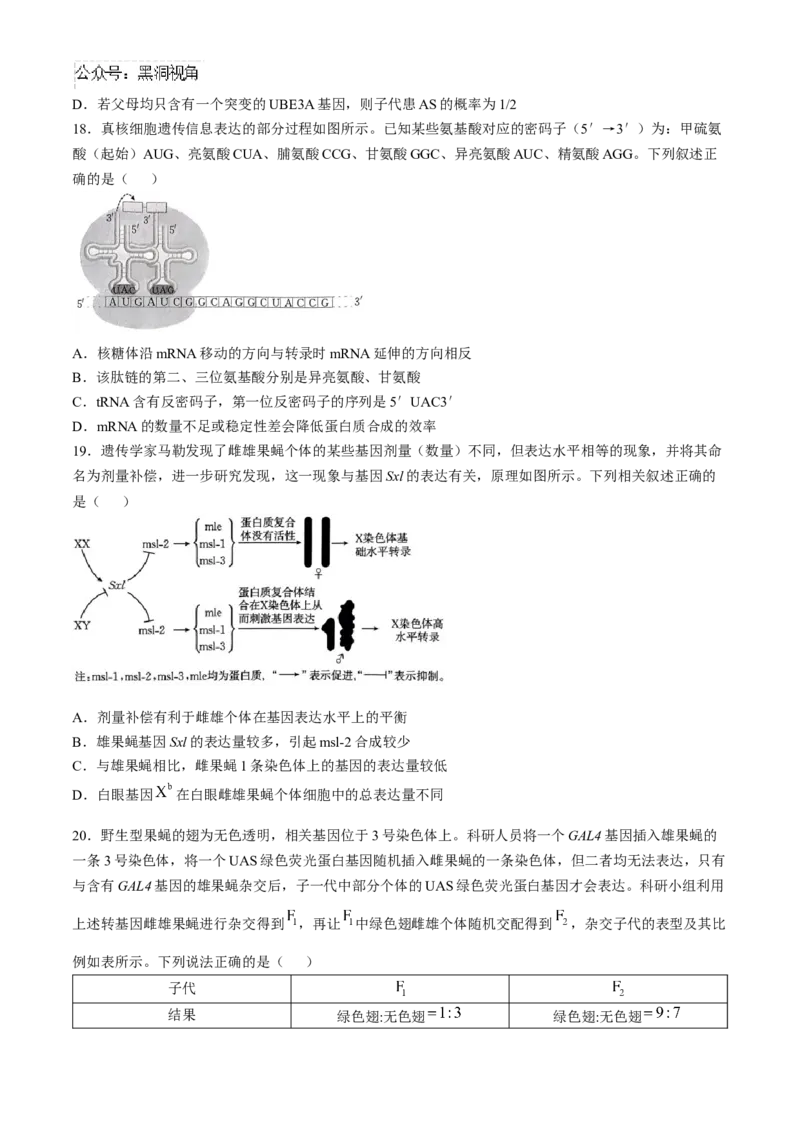 河南省2024-2025年金太阳高三年级联考（三）生物学试题（含解析）_2024-2025高三（6-6月题库）_2024年10月试卷_1030河南省2024-2025年金太阳高三年级联考（三）