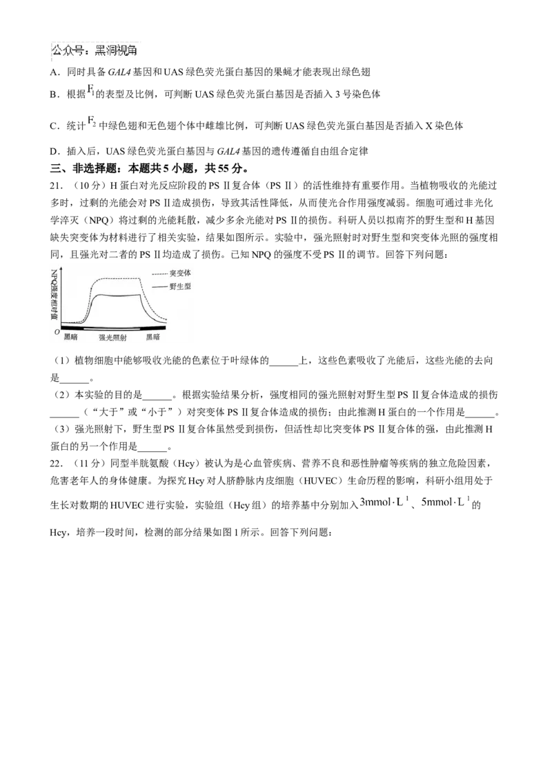 河南省2024-2025年金太阳高三年级联考（三）生物学试题（含解析）_2024-2025高三（6-6月题库）_2024年10月试卷_1030河南省2024-2025年金太阳高三年级联考（三）