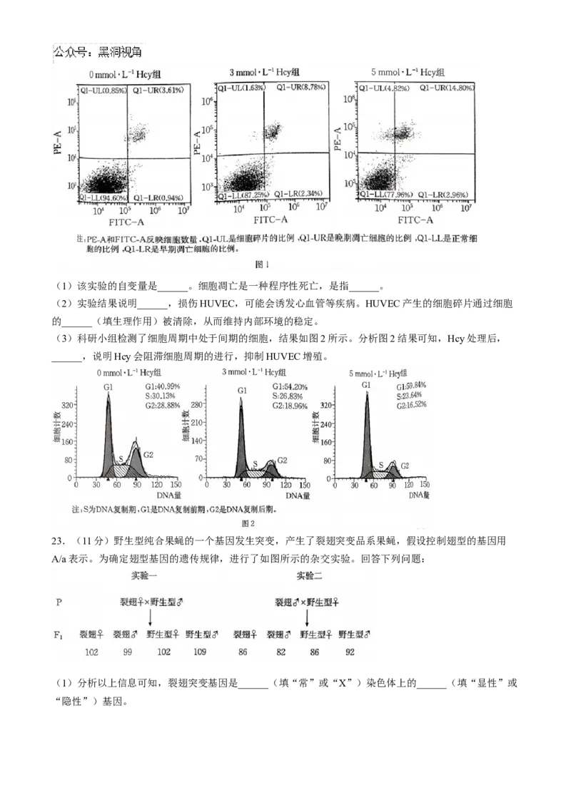 河南省2024-2025年金太阳高三年级联考（三）生物学试题（含解析）_2024-2025高三（6-6月题库）_2024年10月试卷_1030河南省2024-2025年金太阳高三年级联考（三）