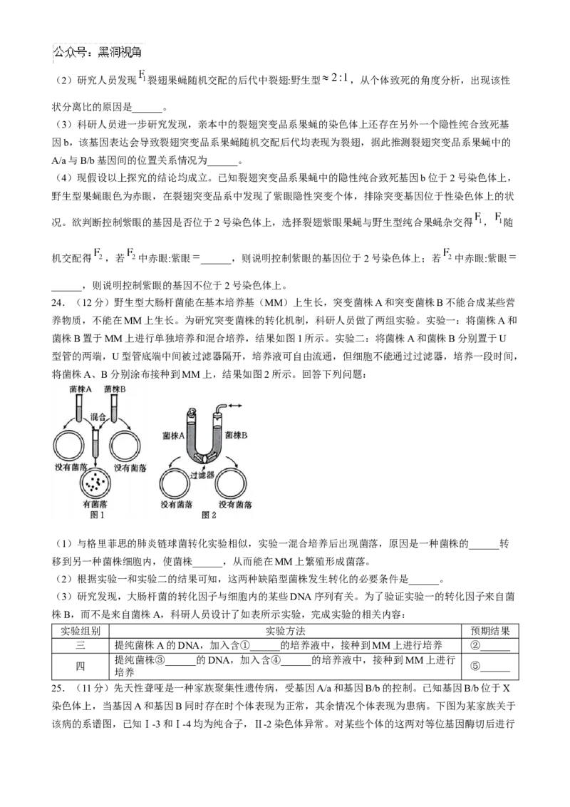 河南省2024-2025年金太阳高三年级联考（三）生物学试题（含解析）_2024-2025高三（6-6月题库）_2024年10月试卷_1030河南省2024-2025年金太阳高三年级联考（三）