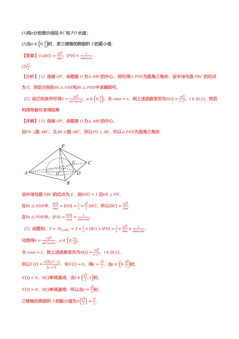 新高考新结构二十一大考点汇总（解析版）_2024-2025高三（6-6月题库）_2024年12月试卷_1211新高考新结构数学二十一大考点汇总（解析版）