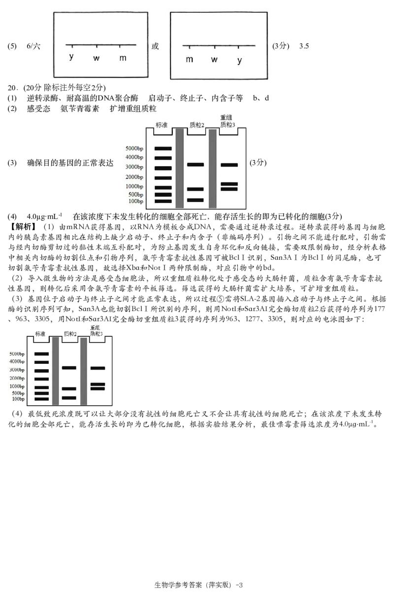 江西省萍乡市萍乡中学2025届高三上学期月考卷（五）生物答案_2024-2025高三（6-6月题库）_2024年12月试卷_1219炎德英才大联考江西省萍乡中学2025届高三上学期月考卷（五）
