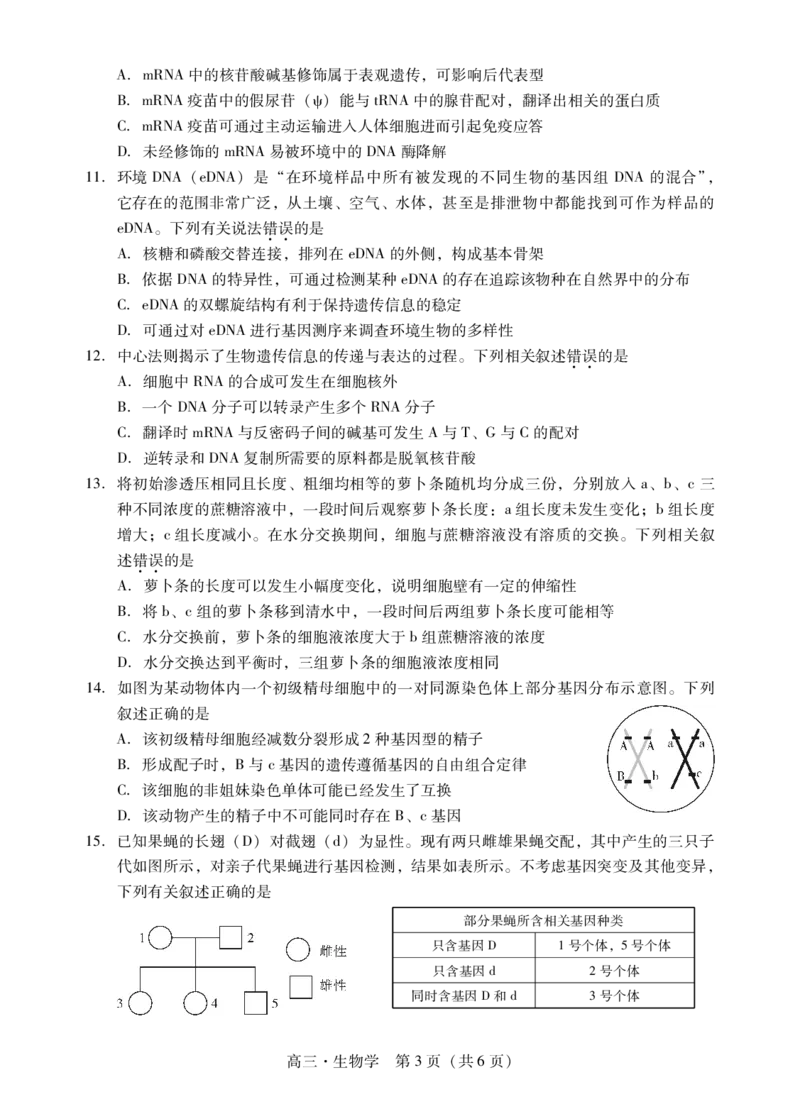 肇庆市2024届高三毕业班第一次教学质量检测生物学试卷(1)_2023年11月_0211月合集_2024届广东省肇庆市高三毕业班第一次教学质量检测