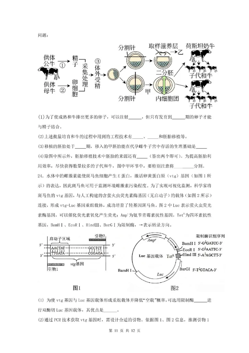 山东省滕州市第一中学2024-2025学年高二下学期3月单元过关考试生物PDF版含答案_2024-2025高二（7-7月题库）_2025年04月试卷(1)
