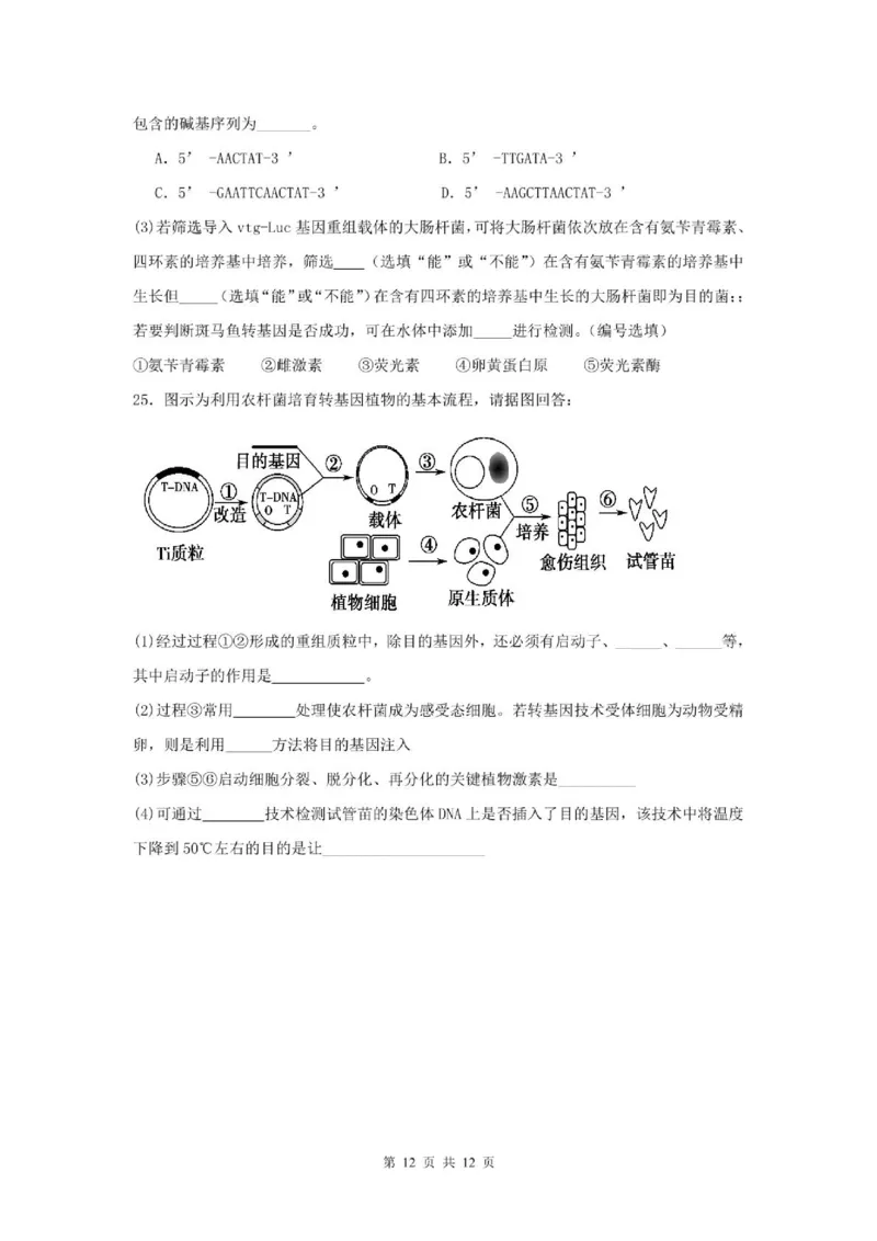 山东省滕州市第一中学2024-2025学年高二下学期3月单元过关考试生物PDF版含答案_2024-2025高二（7-7月题库）_2025年04月试卷(1)
