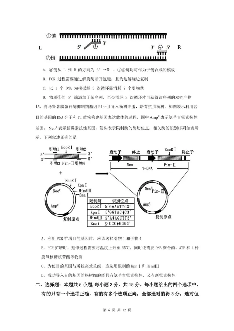 山东省滕州市第一中学2024-2025学年高二下学期3月单元过关考试生物PDF版含答案_2024-2025高二（7-7月题库）_2025年04月试卷(1)