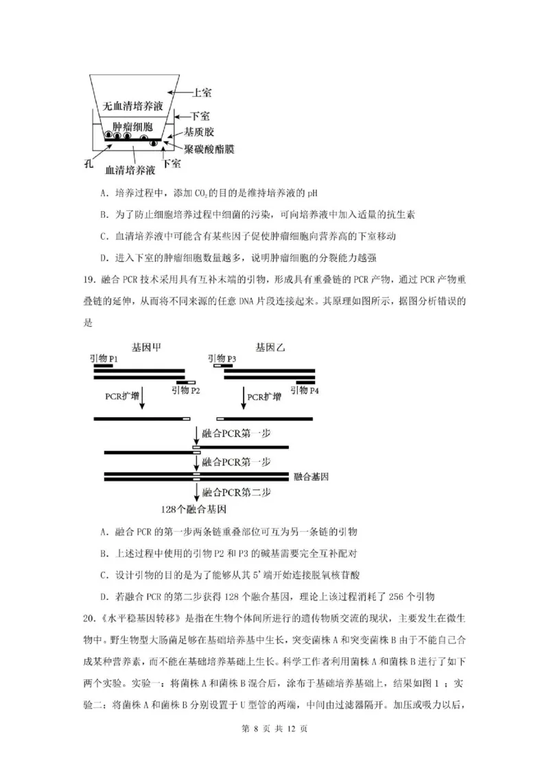山东省滕州市第一中学2024-2025学年高二下学期3月单元过关考试生物PDF版含答案_2024-2025高二（7-7月题库）_2025年04月试卷(1)