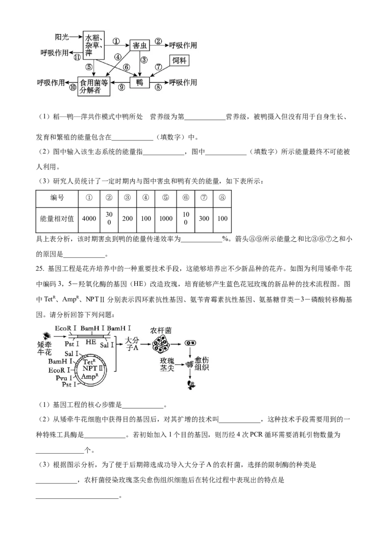 精品解析：黑龙江省大庆市大庆中学2023-2024学年高三下学期开学生物试题（原卷版）_2024年3月_013月合集_2024届黑龙江省大庆市大庆中学高三下学期开学考试