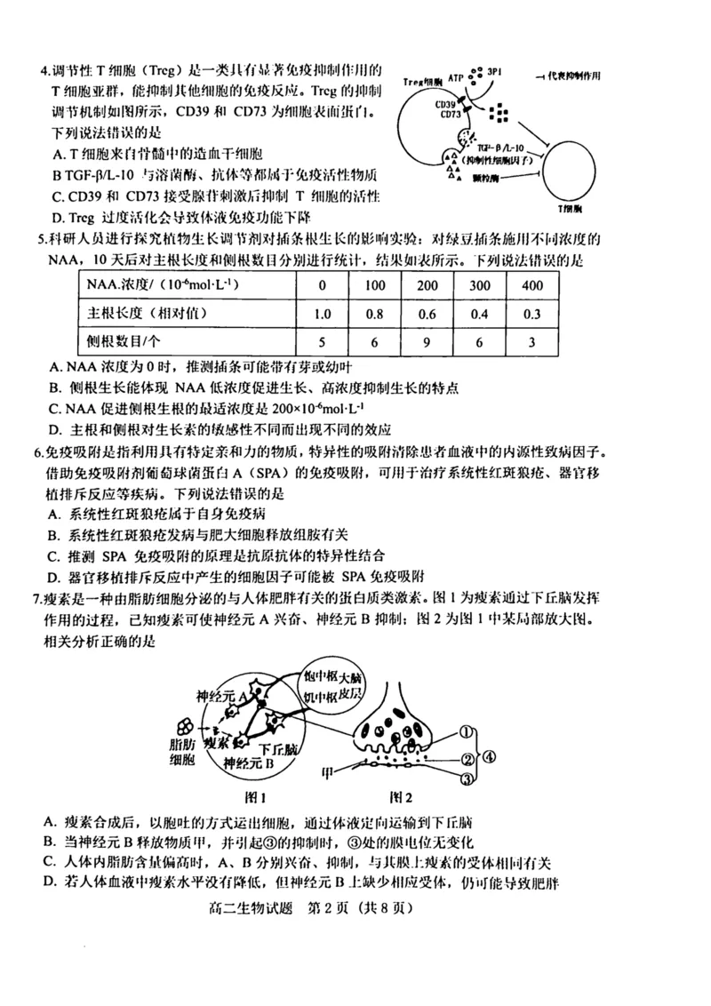 山东省济宁市校际联考2024-2025学年高二上学期12月月考试题生物PDF版含答案_2024-2025高二（7-7月题库）_2025年01月试卷_0109山东省济宁市校际联考2024-2025学年高二上学期12月月考试题