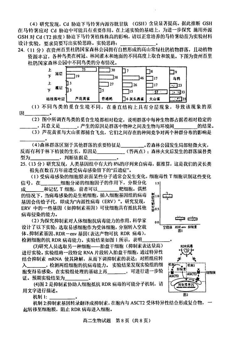 山东省济宁市校际联考2024-2025学年高二上学期12月月考试题生物PDF版含答案_2024-2025高二（7-7月题库）_2025年01月试卷_0109山东省济宁市校际联考2024-2025学年高二上学期12月月考试题