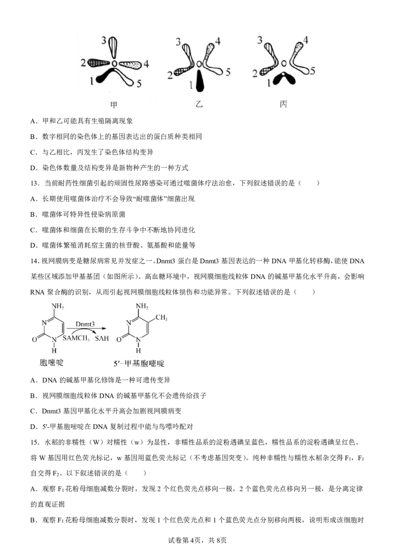 巴蜀中学高二10月月考生物试卷及参考答案_2024-2025高二（7-7月题库）_2024年11月试卷_11062024-2025学年重庆市巴蜀中学高二10月月考