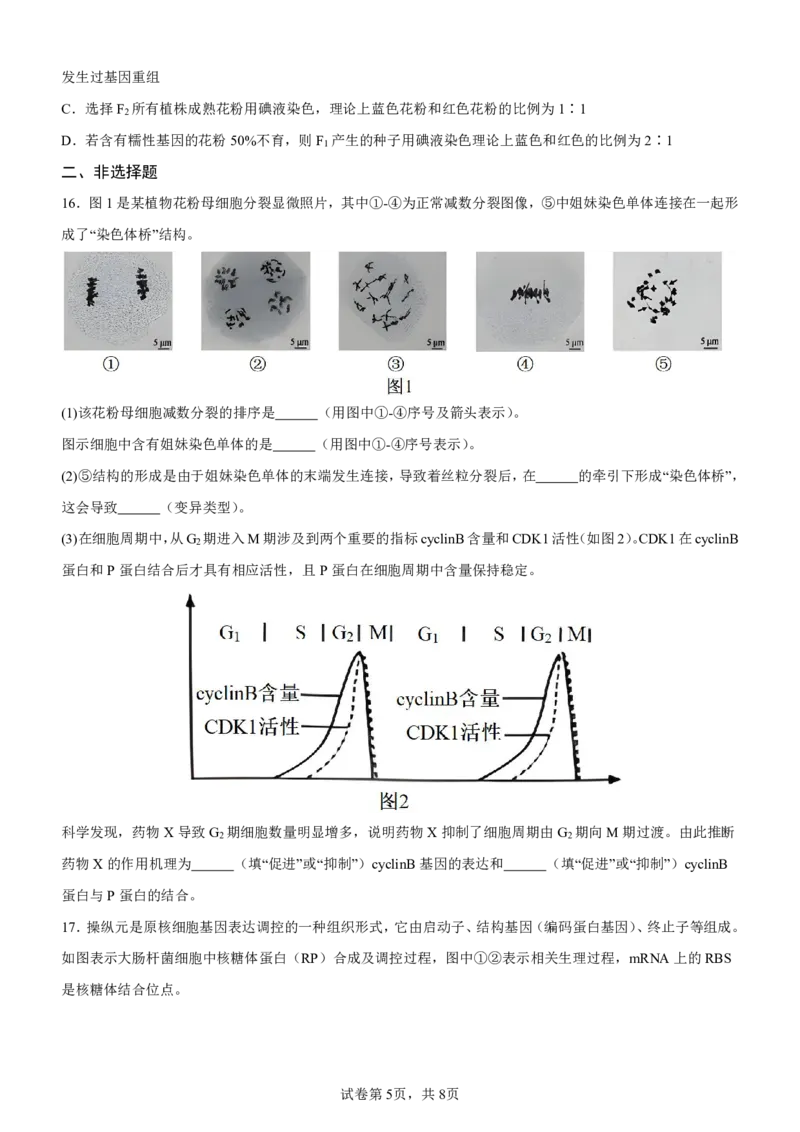 巴蜀中学高二10月月考生物试卷及参考答案_2024-2025高二（7-7月题库）_2024年11月试卷_11062024-2025学年重庆市巴蜀中学高二10月月考