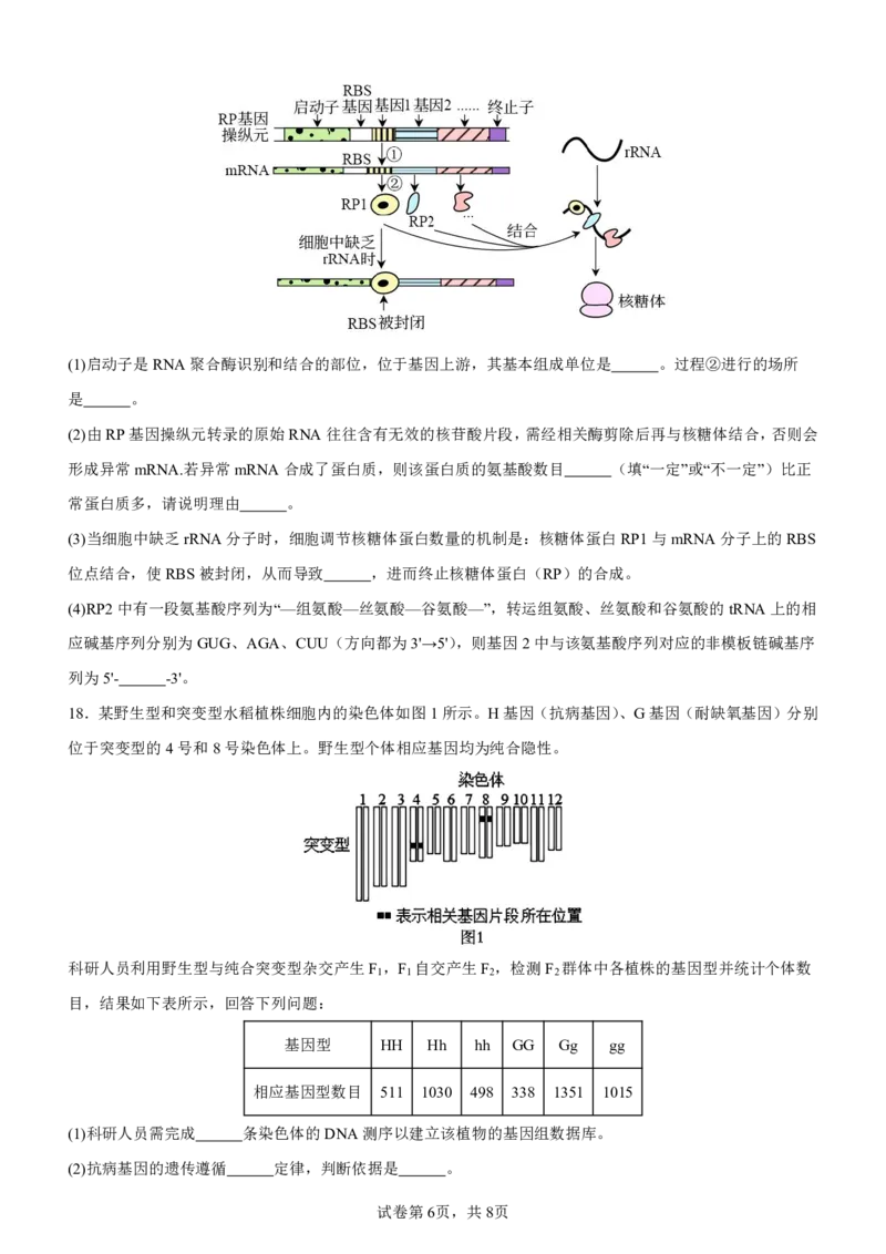 巴蜀中学高二10月月考生物试卷及参考答案_2024-2025高二（7-7月题库）_2024年11月试卷_11062024-2025学年重庆市巴蜀中学高二10月月考