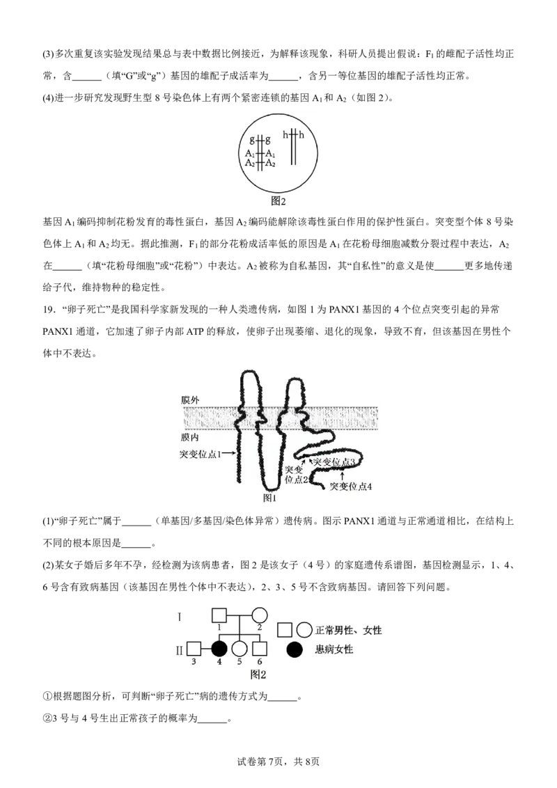 巴蜀中学高二10月月考生物试卷及参考答案_2024-2025高二（7-7月题库）_2024年11月试卷_11062024-2025学年重庆市巴蜀中学高二10月月考
