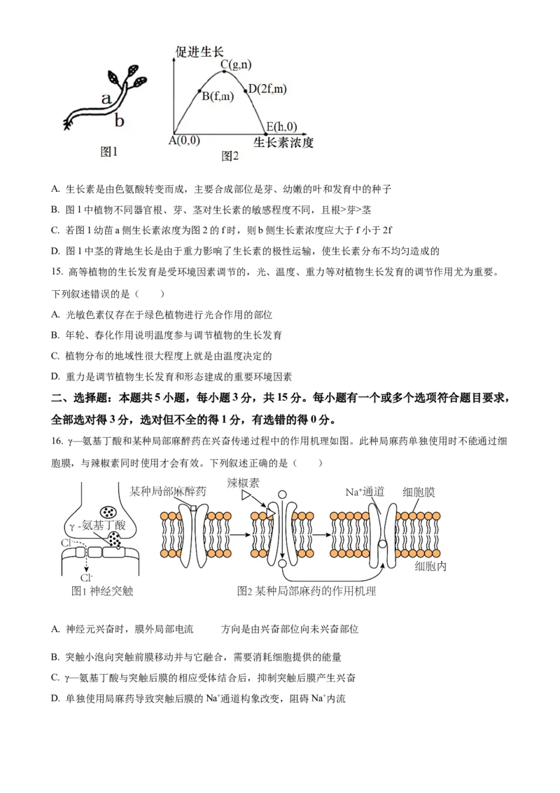 山东省临沂市2024-2025学年高二上学期期中考试生物试题Word版无答案_2024-2025高二（7-7月题库）_2024年12月试卷_1214山东省临沂市2024-2025学年高二上学期期中考试