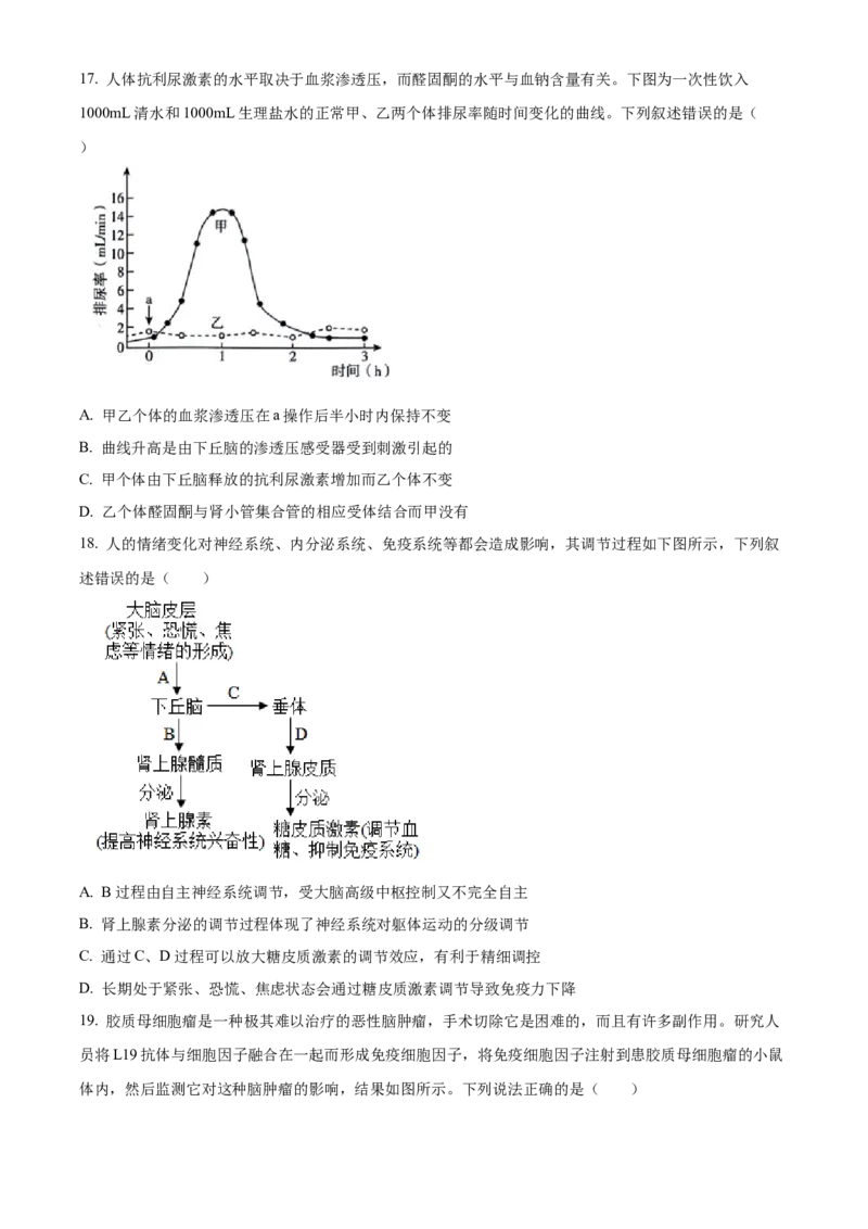 山东省临沂市2024-2025学年高二上学期期中考试生物试题Word版无答案_2024-2025高二（7-7月题库）_2024年12月试卷_1214山东省临沂市2024-2025学年高二上学期期中考试