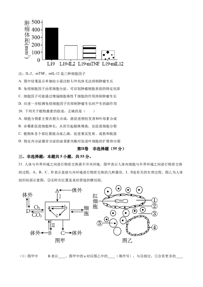 山东省临沂市2024-2025学年高二上学期期中考试生物试题Word版无答案_2024-2025高二（7-7月题库）_2024年12月试卷_1214山东省临沂市2024-2025学年高二上学期期中考试