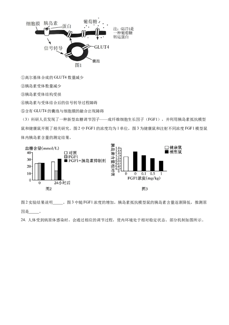 山东省临沂市2024-2025学年高二上学期期中考试生物试题Word版无答案_2024-2025高二（7-7月题库）_2024年12月试卷_1214山东省临沂市2024-2025学年高二上学期期中考试