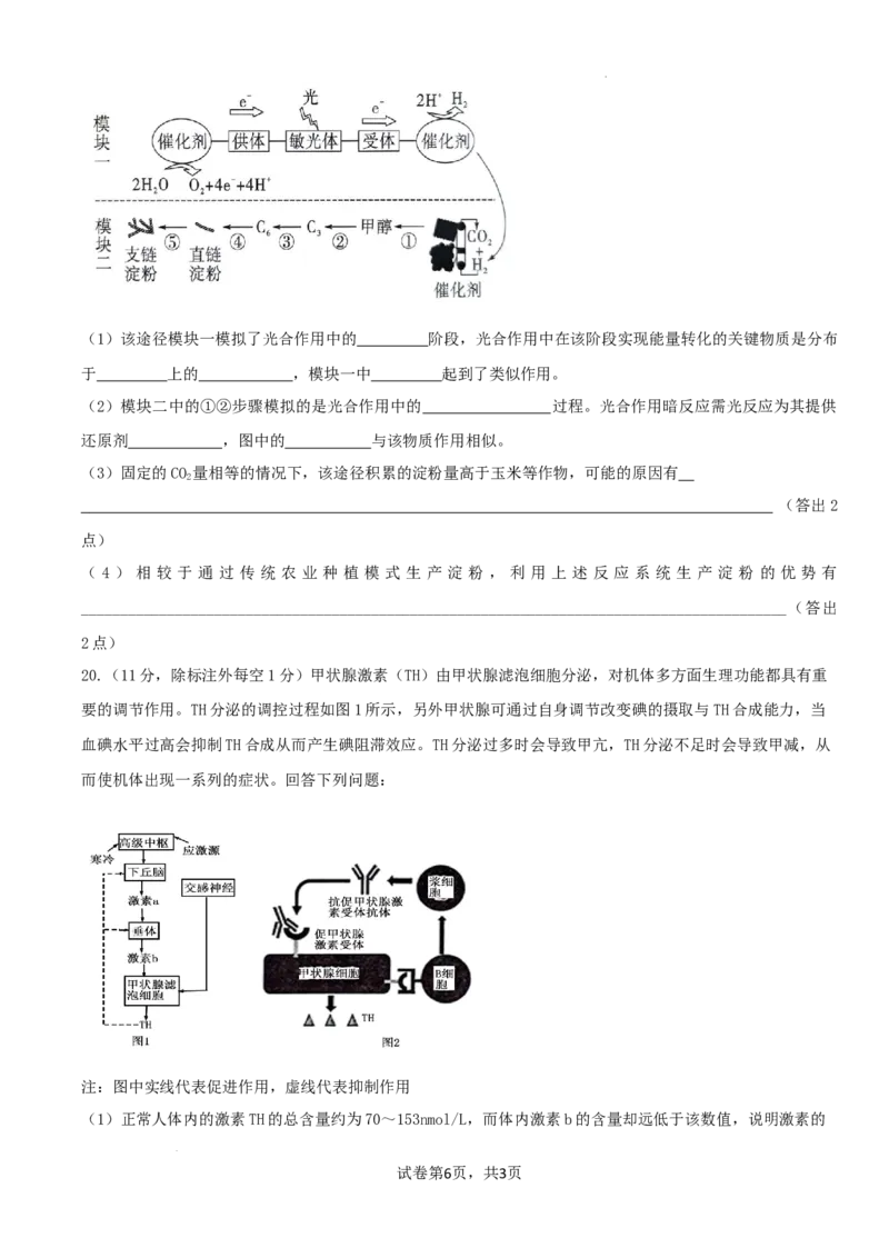 邯郸市2024届高三年级保温试题-生物_2024年5月_01按日期_23号_2024届河北省邯郸市高三下学期5月保温试题_2024届河北省邯郸市高三下学期5月保温试题生物试卷