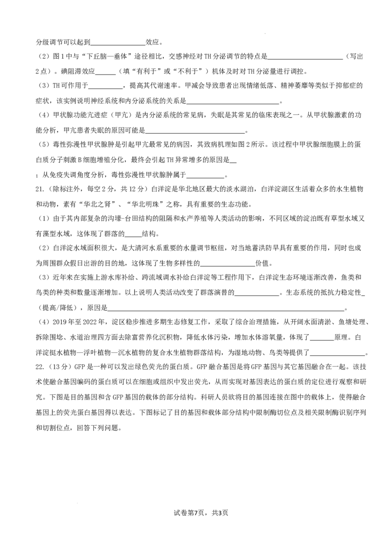 邯郸市2024届高三年级保温试题-生物_2024年5月_01按日期_23号_2024届河北省邯郸市高三下学期5月保温试题_2024届河北省邯郸市高三下学期5月保温试题生物试卷