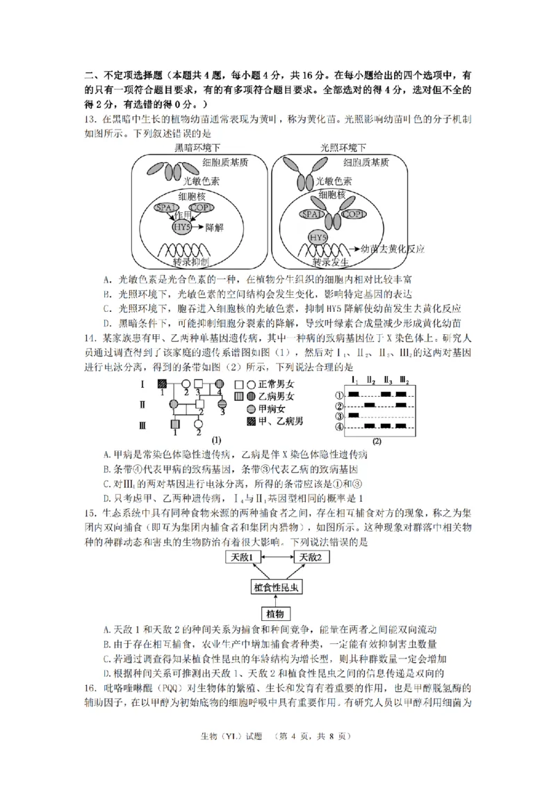 生物（YL）_2_2024年4月_01按日期_26号_2024届湖南省长沙市雅礼中学高三4月综合测试_2024届湖南省长沙市雅礼中学高三下学期4月综合测试-生物试题