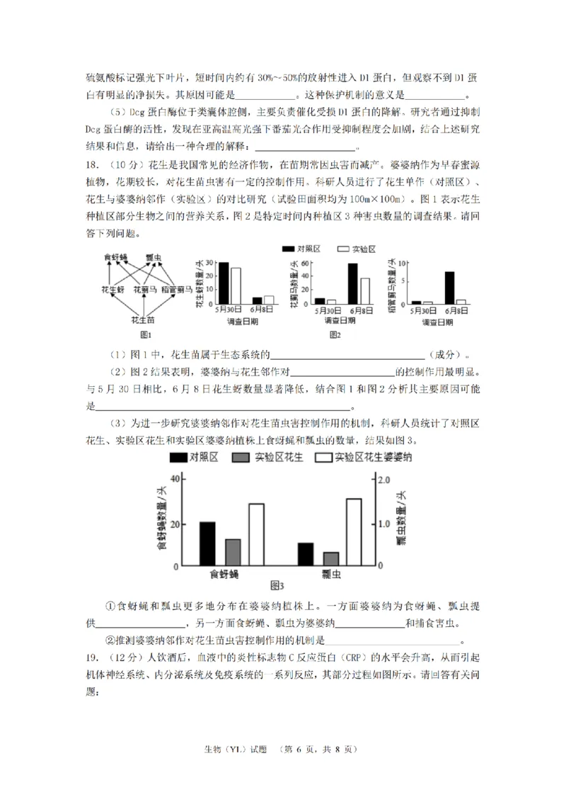 生物（YL）_2_2024年4月_01按日期_26号_2024届湖南省长沙市雅礼中学高三4月综合测试_2024届湖南省长沙市雅礼中学高三下学期4月综合测试-生物试题