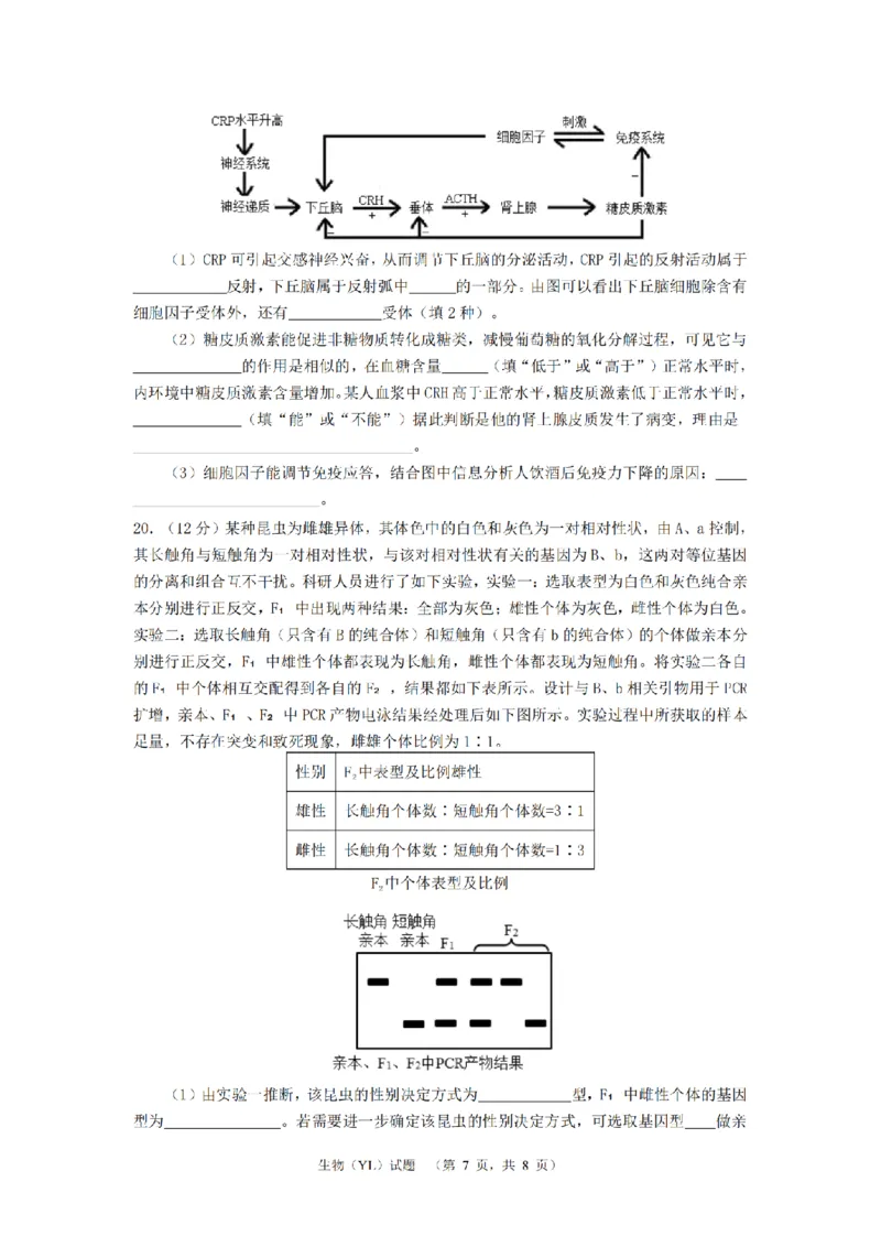 生物（YL）_2_2024年4月_01按日期_26号_2024届湖南省长沙市雅礼中学高三4月综合测试_2024届湖南省长沙市雅礼中学高三下学期4月综合测试-生物试题