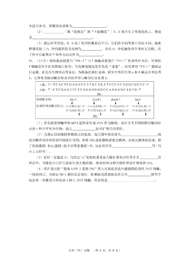 生物（YL）_2_2024年4月_01按日期_26号_2024届湖南省长沙市雅礼中学高三4月综合测试_2024届湖南省长沙市雅礼中学高三下学期4月综合测试-生物试题