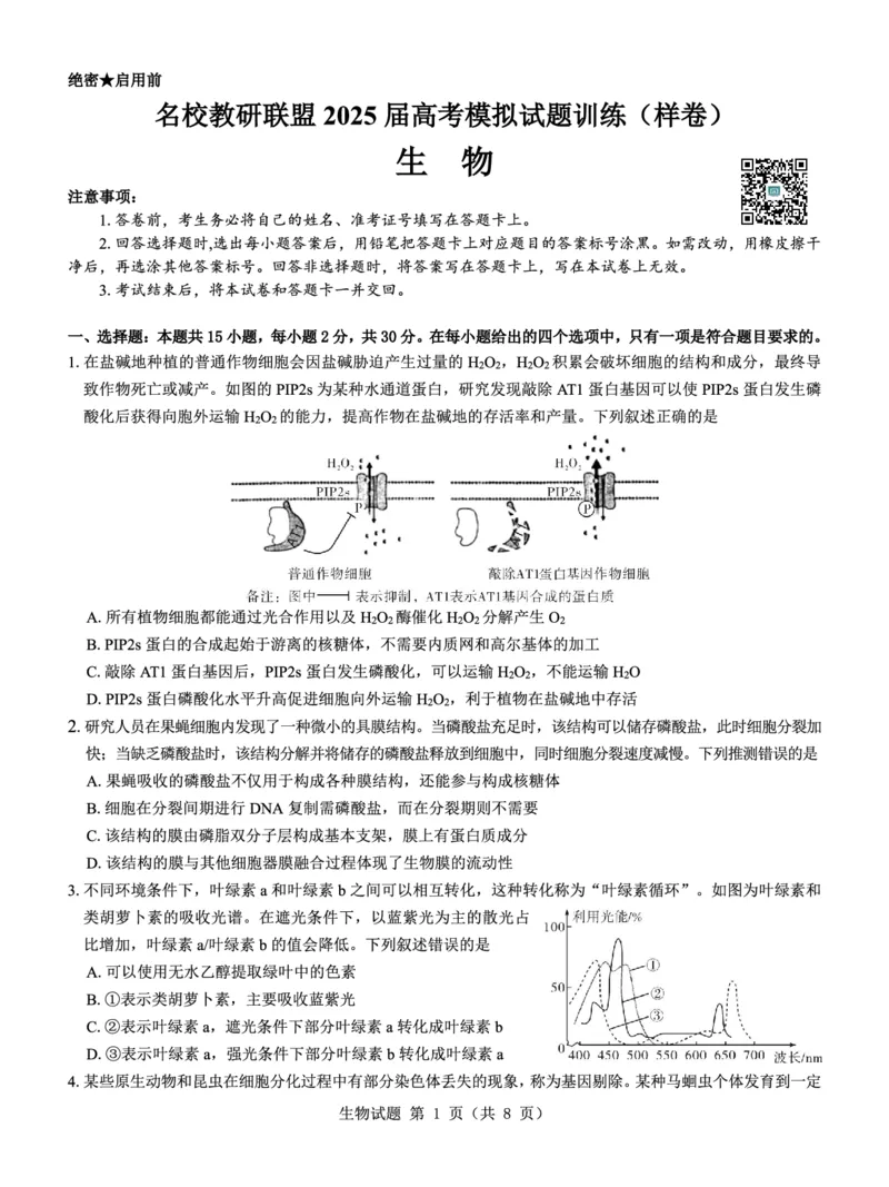 名校教研联盟2025届高考模拟试题训练（样卷）生物试题_2024-2025高三（6-6月题库）_2024年09月试卷_0904名校教研联盟2025届高考模拟试题训练（样卷）