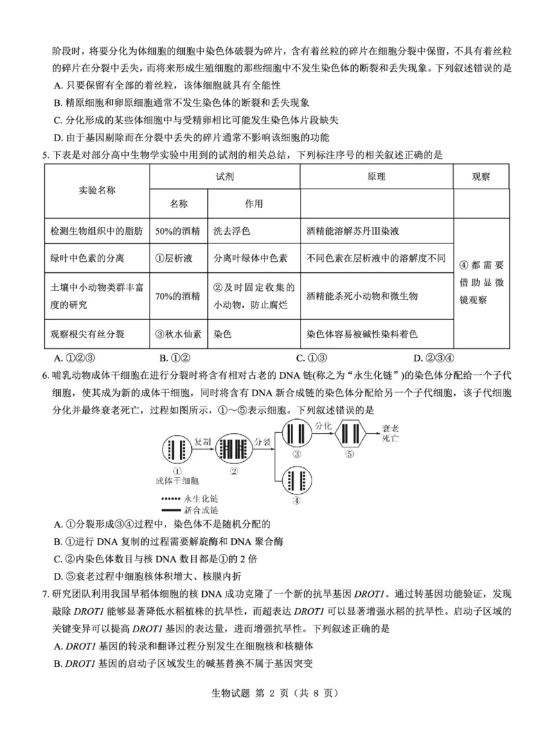名校教研联盟2025届高考模拟试题训练（样卷）生物试题_2024-2025高三（6-6月题库）_2024年09月试卷_0904名校教研联盟2025届高考模拟试题训练（样卷）