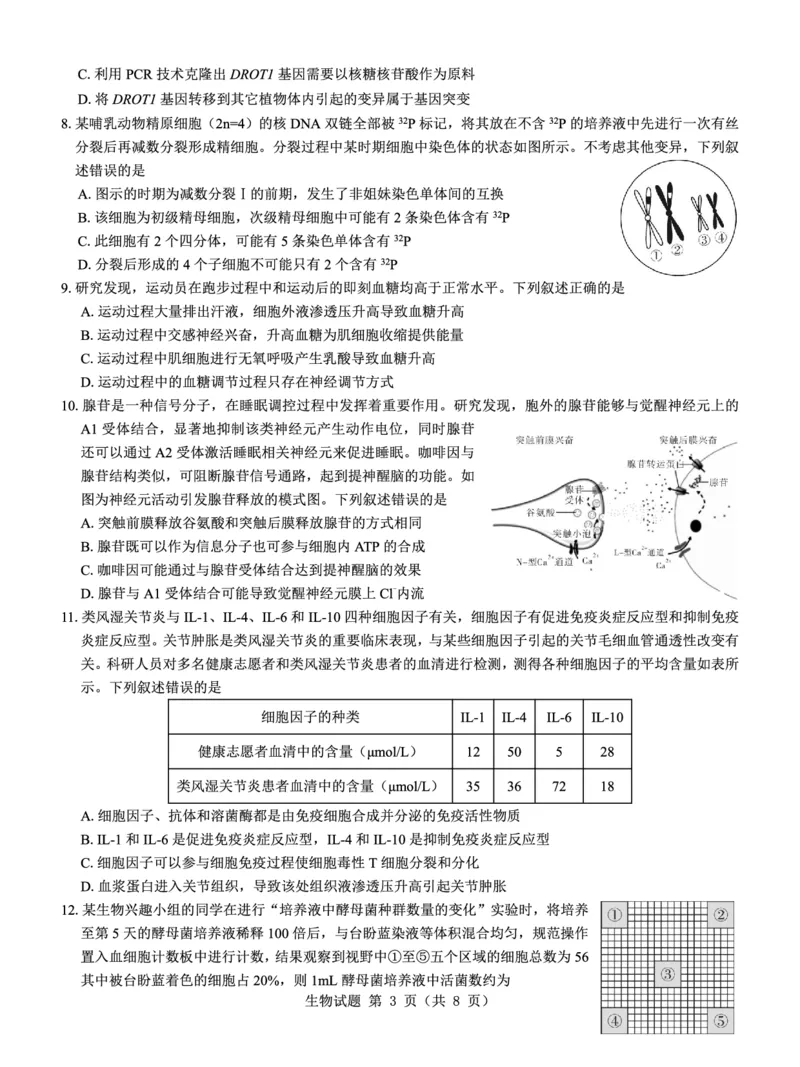 名校教研联盟2025届高考模拟试题训练（样卷）生物试题_2024-2025高三（6-6月题库）_2024年09月试卷_0904名校教研联盟2025届高考模拟试题训练（样卷）