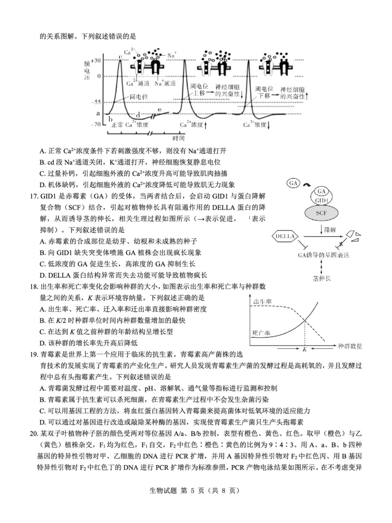 名校教研联盟2025届高考模拟试题训练（样卷）生物试题_2024-2025高三（6-6月题库）_2024年09月试卷_0904名校教研联盟2025届高考模拟试题训练（样卷）