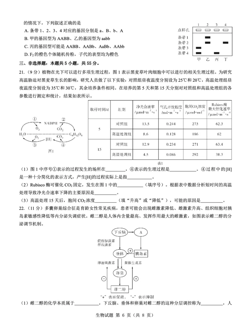 名校教研联盟2025届高考模拟试题训练（样卷）生物试题_2024-2025高三（6-6月题库）_2024年09月试卷_0904名校教研联盟2025届高考模拟试题训练（样卷）